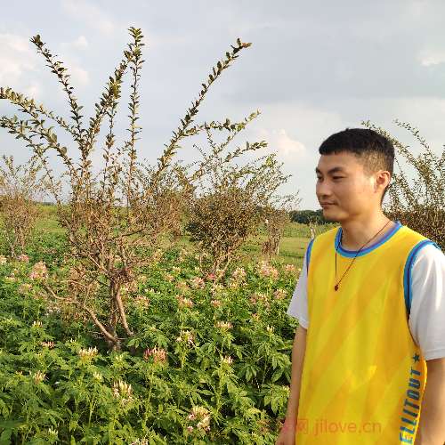 37岁岁广东单身帅哥 - 广安吉缘网
